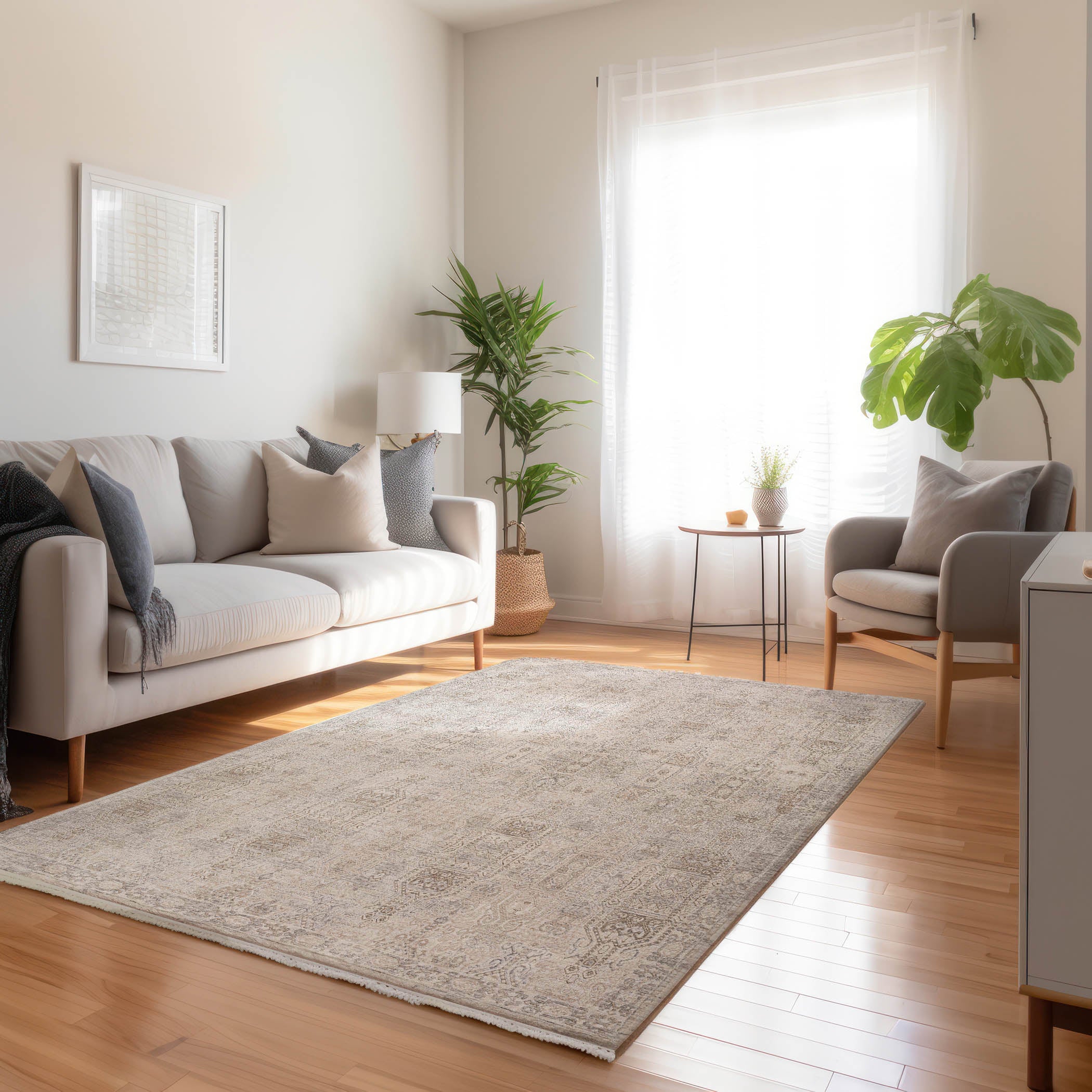 Cyprus Collection – Dalyn Rug Company