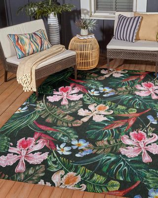 Tropics Collection