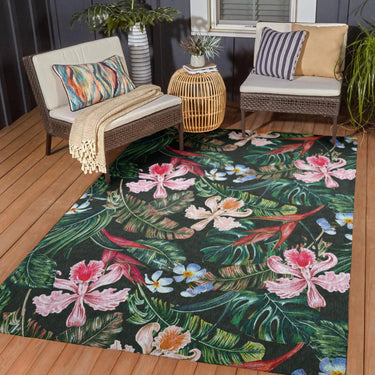 Tropics Collection