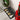 Holiday Rugs