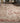 Antigua AN4 Paprika Rug