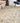 Bergama BE4 Ivory Rug
