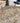 Bergama BE9 Spice Rug