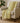 Akina AK3 Gold Throw Blanket