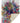 Kikiamo KK1 Carnival Throw Blanket