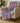 Kikiamo KK3 Passion Throw Blanket