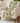 Merry & Bright MY24 Aloe Throw Blanket