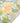 Odyssey OY4-P Beige Throw Blanket