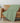 Ravenna RN11-S Fern Throw Blanket
