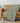 Ravenna RN4-S Fern Throw Blanket