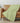 Solace SL12-P Lime Throw Blanket