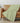 Solace SL12-S Aloe Throw Blanket