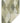 The Reserve TR11 Fern Throw Blanket