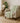 The Reserve TR12 Fern Throw Blanket