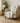 The Reserve TR16 Ivory Throw Blanket