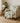 The Reserve TR17 Sage Throw Blanket