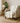 The Reserve TR1 Ivory Throw Blanket