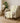 The Reserve TR1 Wheat Throw Blanket