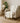 The Reserve TR3 Ivory Throw Blanket