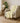 The Reserve TR6 Wheat Throw Blanket