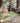 Boca BO10 Sage Rug