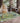 Boca BO11 Aloe Rug