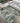 Brisbane BR5 Gold Rug