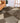 Carmona CO1 Fudge Rug
