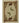Excursion EX5 Beige Rug