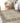 Hatay HY1 Beige Rug