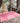 Kikiamo KK16 Flamingo Rug
