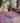 Kikiamo KK3 Passion Rug