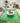 Kikiamo KK5 Lime-In Rug