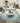 Kikiamo KK9 Seaside Rug