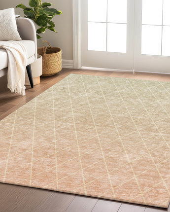 Lazio LZ2 Salmon Rug