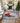 Merry & Bright MY1 Twilight Rug