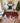 Merry & Bright MY26 Red Rug