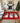 Merry & Bright MY28 Red Rug