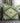 Portico PO5 Green Pillow