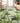 Tropics TC10 Aloe Rug