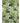 Tropics TC10 Aloe Rug