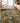 Tropics TC11 Clay Rug