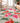 Tropics TC12 Ivory Rug