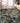 Tropics TC13 Black Rug
