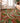 Tropics TC1 Paprika Rug