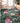 Tropics TC6 Black Rug