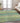 Trevi TV1 Aloe Rug