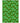 Wonderland WN18 Green Rug