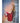 Wonderland WN1 Twilight Rug