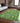 Wonderland WN21 Green Rug